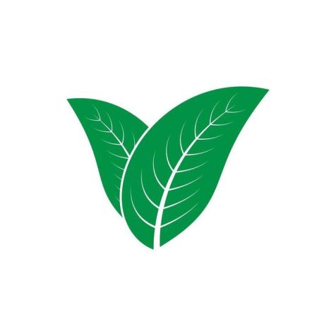 Catappa extract creating natural blackwater for fish tanks